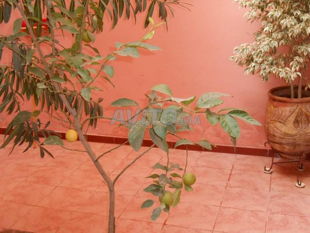Apartment 132 m² for Sale in Casablanca — Photo 19