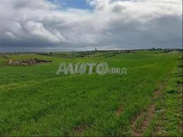 أرض للبيع في سيدي رحال - إطلالة على البحر — Photo 3