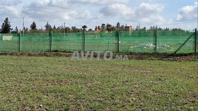 Land for sale in Bir Jdid — Photo 3