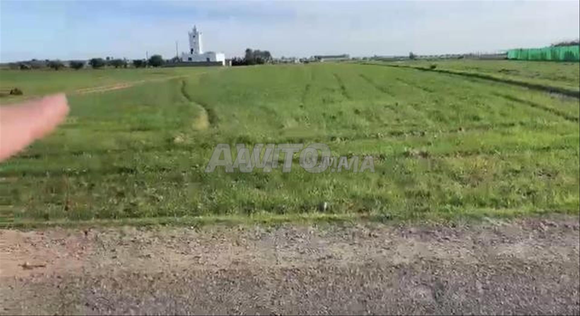 أرض زراعية مسماة للبيع في بوجديد — Photo 6