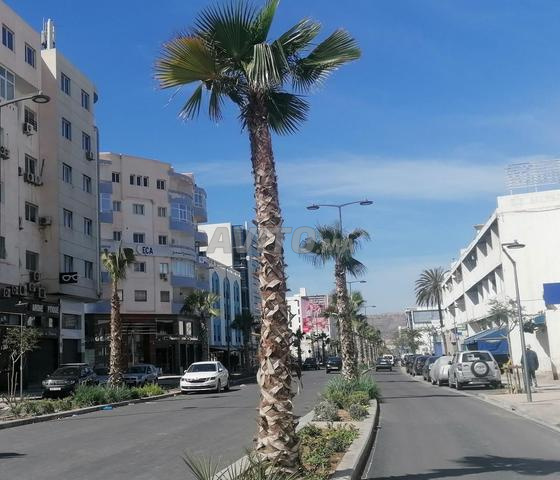Bureau 100 m² à vendre à Agadir — Photo 4