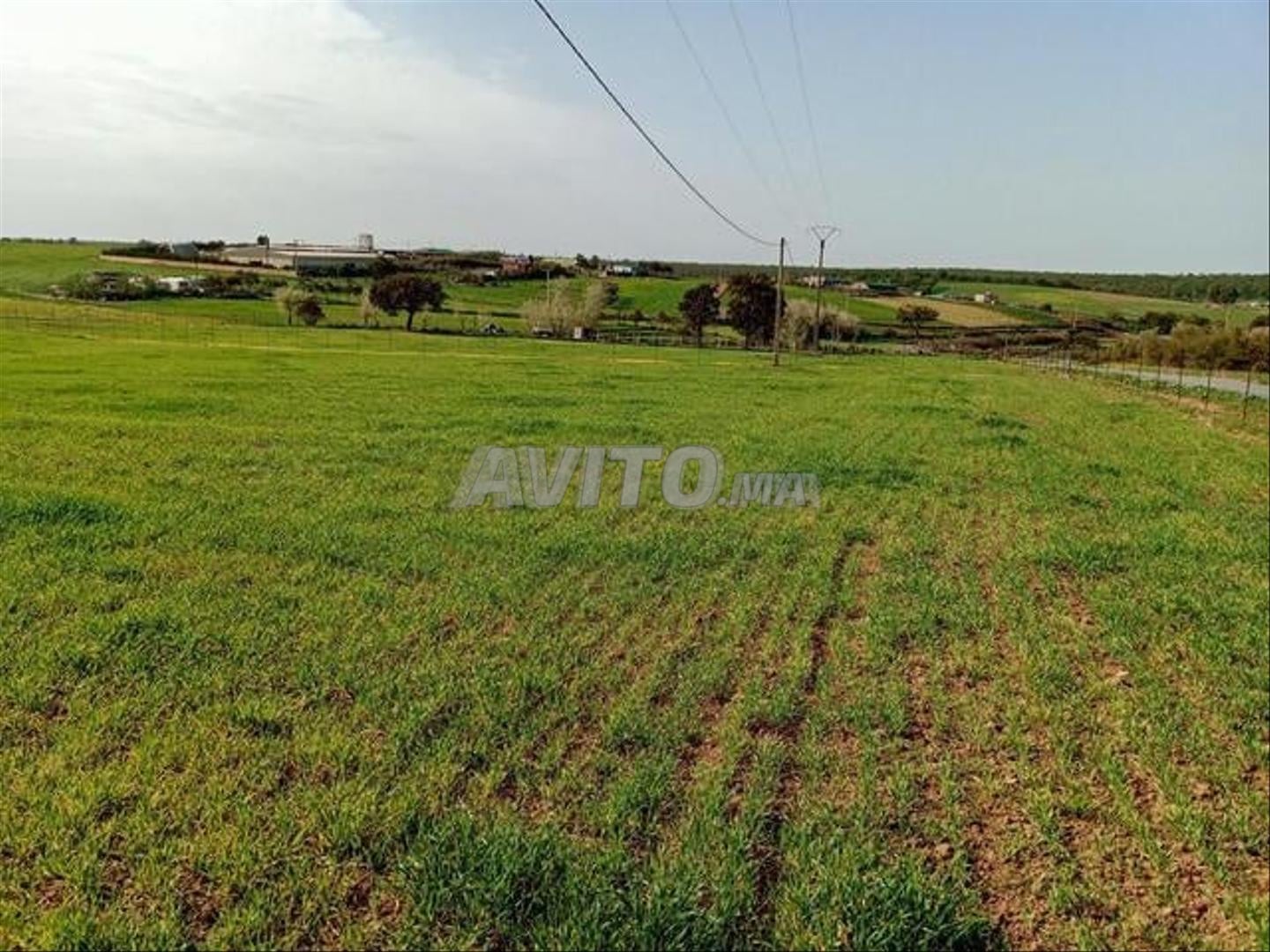 Terrain à vendre à Sidi Rahal — Photo 6