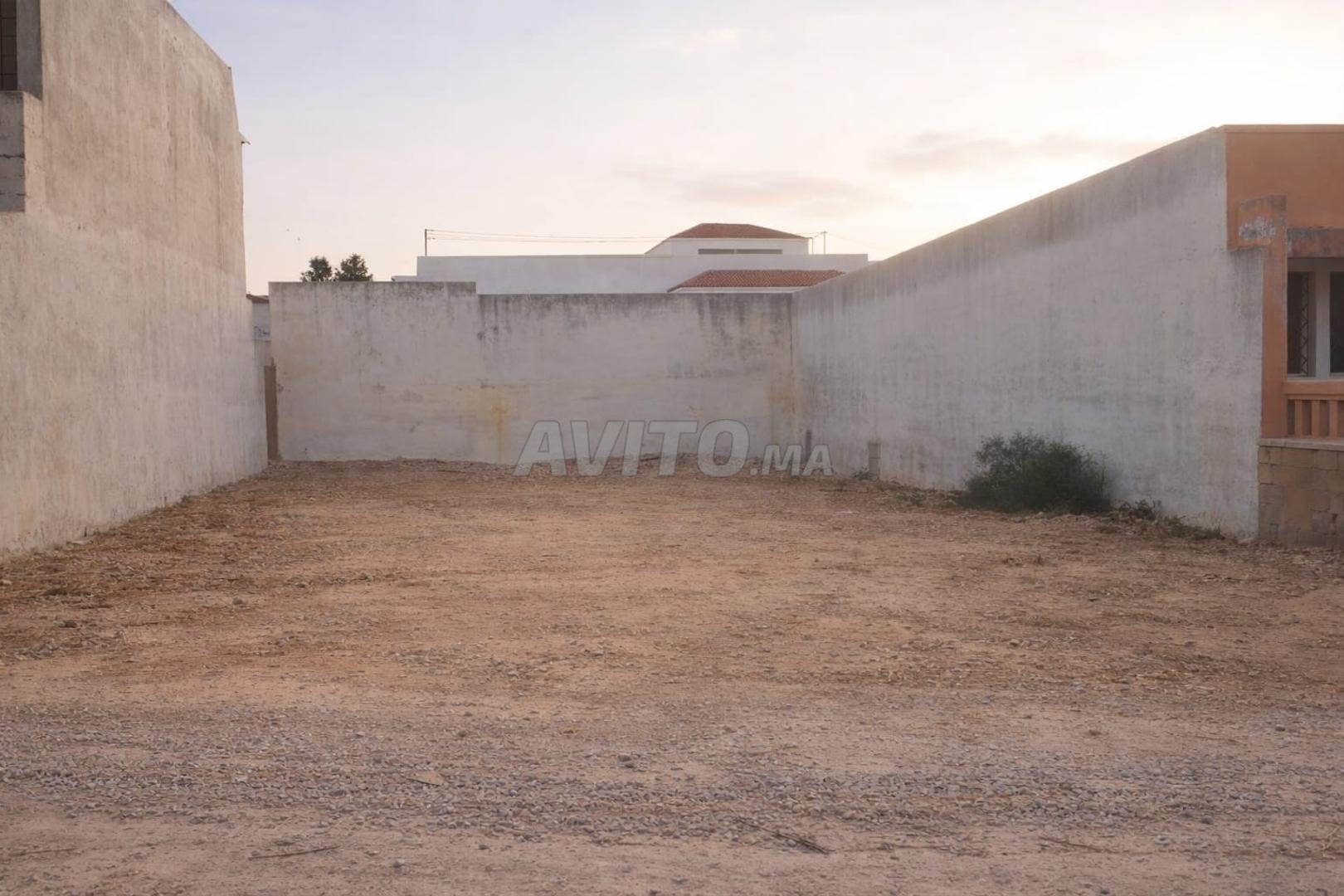 أرض 8 م² للبيع في الجديدة — Photo 8