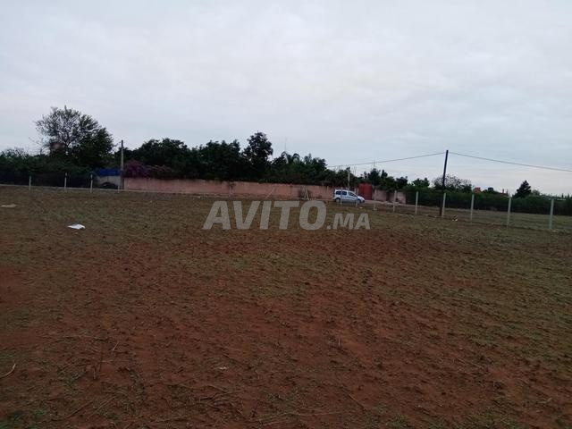 أرض 3500 متر مربع للبيع في الرباط — Photo 5