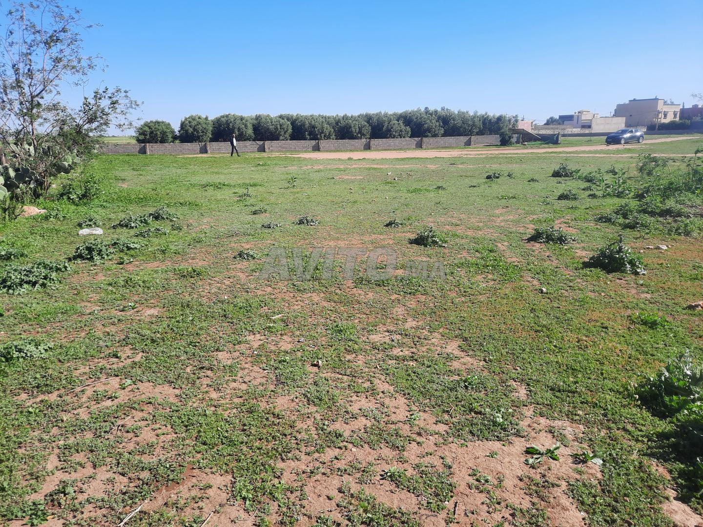 Terrain titré à vendre