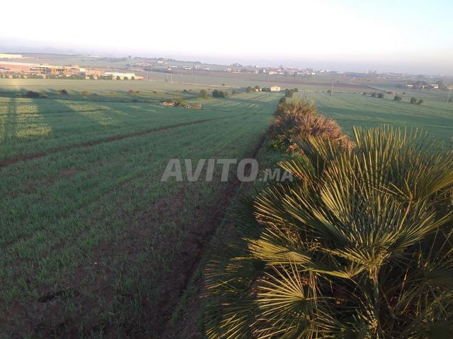 أرض 32600 م² للبيع في الدار البيضاء — Photo 3