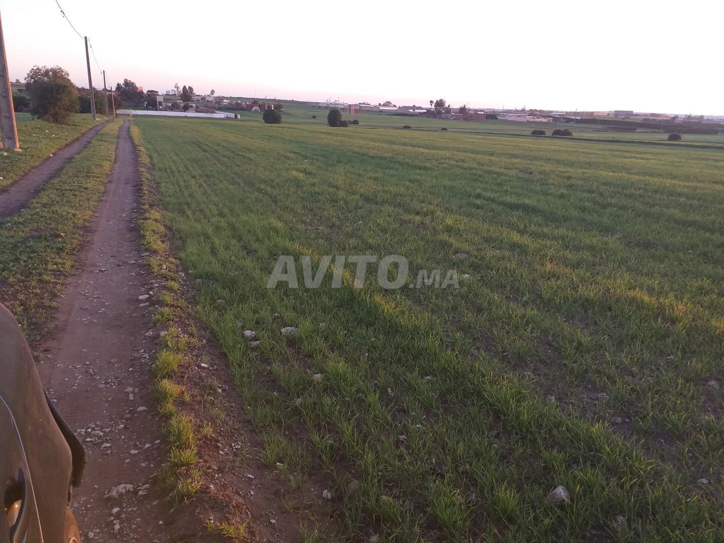 أرض 32600 م² للبيع في الدار البيضاء — Photo 8
