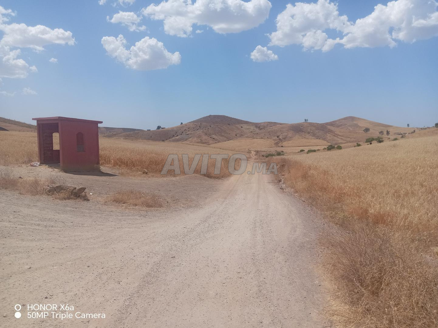 أرض 17500 م² للبيع في سيدي بطاش — Photo 4