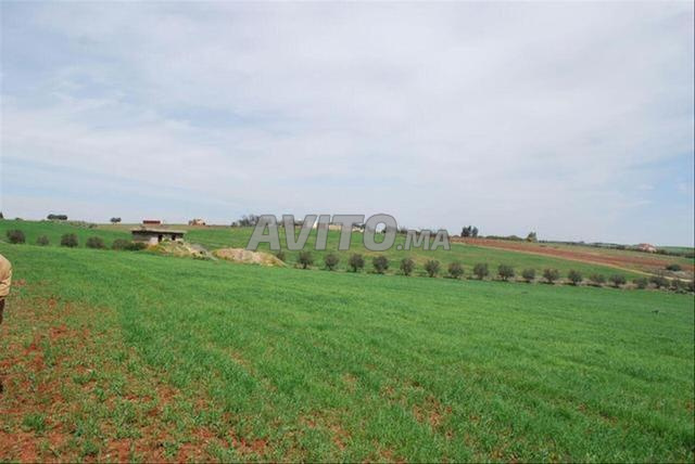Terrain à partir de 5 000 m² à vendre à Sidi Rahal — Photo 5