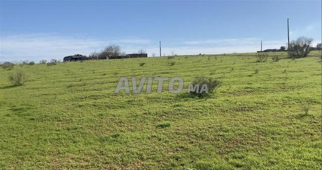 Terrain à vendre à Sidi Rahal — Photo 4