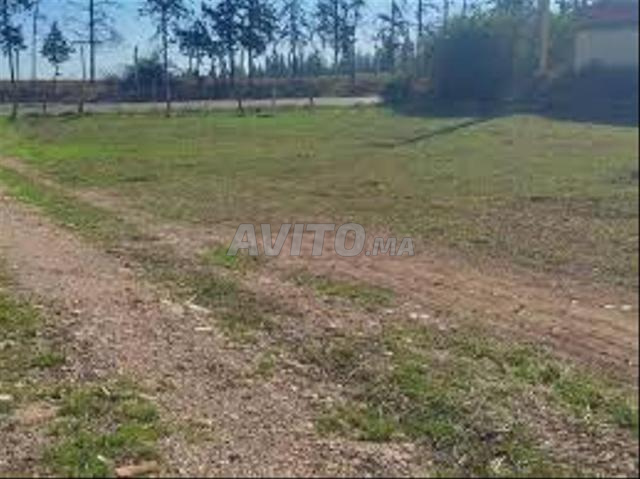 Land for Sale in Bir Jdid – from 5,000 m² — Photo 3
