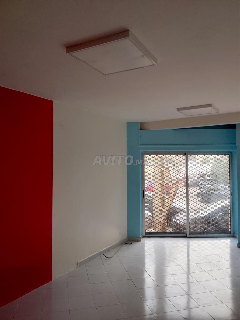 magasin aménagé à palmier 32m2