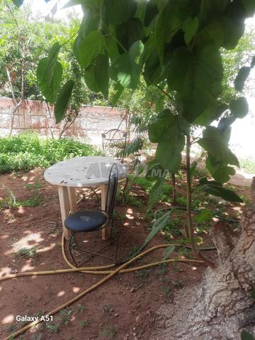 Villa à vendre à Casablanca, Anfa — Photo 15