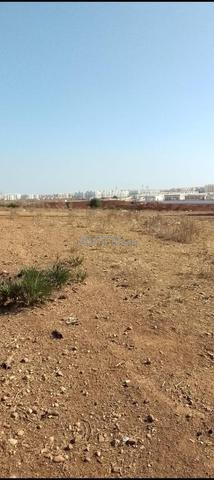 Terrain 13600 m² à vendre à Rabat — Photo 9