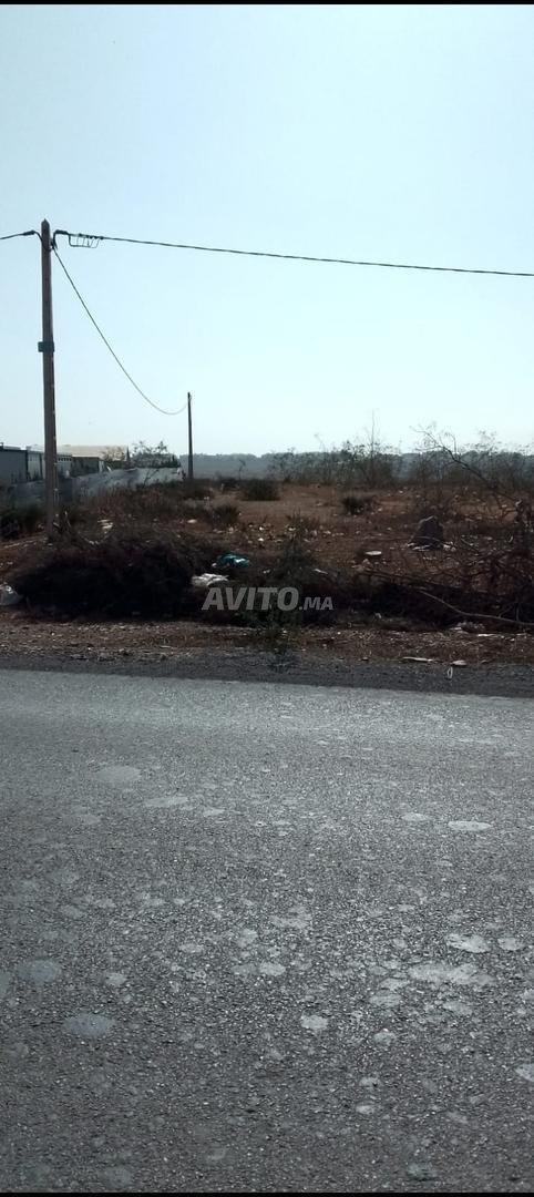 Terrain 13600 m² à vendre à Rabat — Photo 8