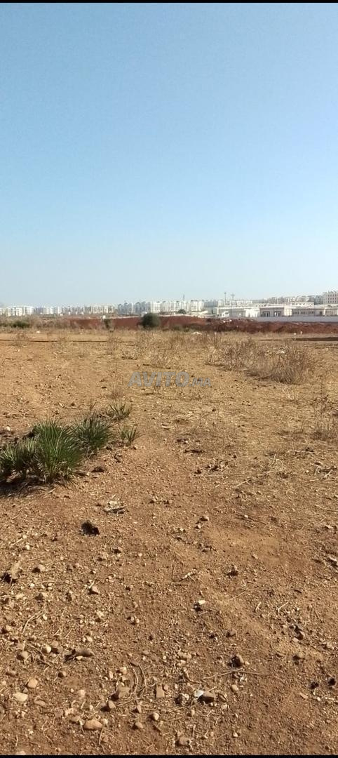 Terrain 13600 m² à vendre à Rabat — Photo 10