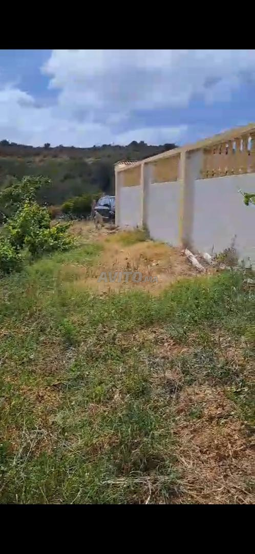 Maison et terrain 2h à Asilah, route Tanger