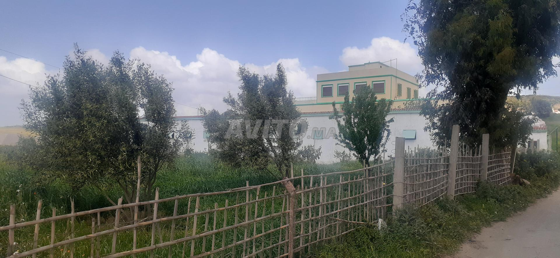 Ferme 6 ha à vendre, Crocher Blanco