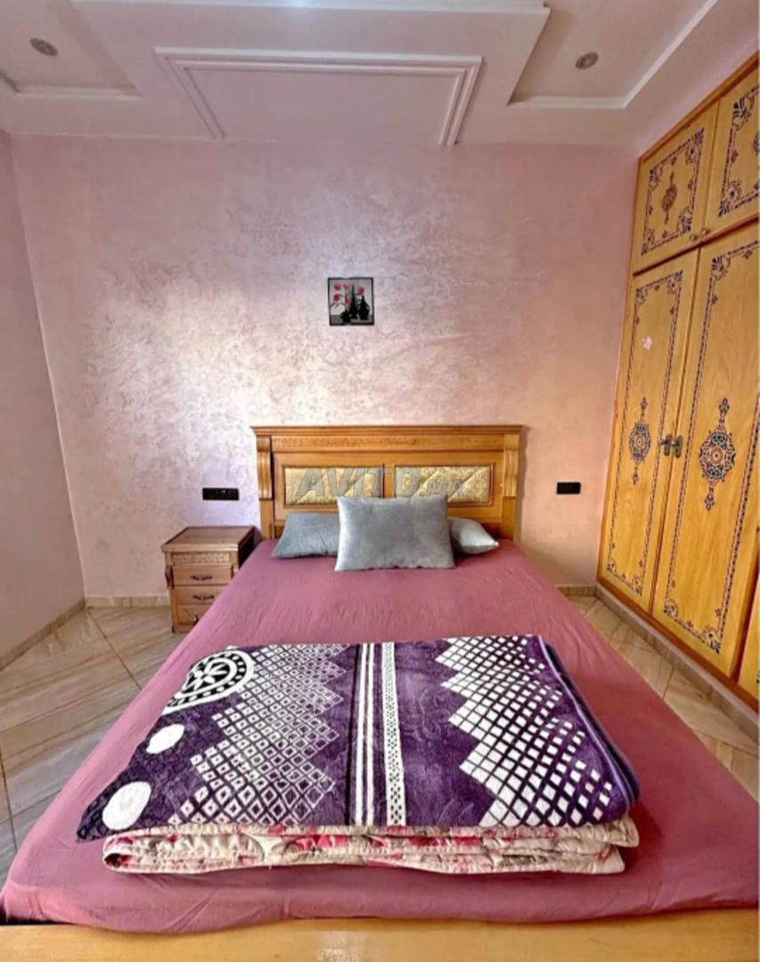 Daily furnished houses for rent