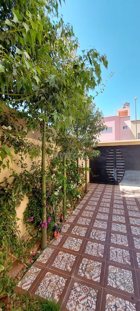 Villa for rent in Marrakech – M'Hamid — Photo 12