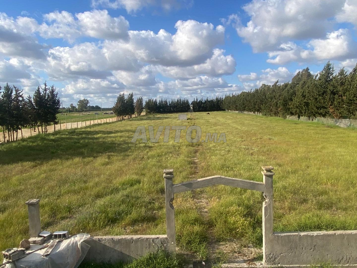 Ferme Adelia à vendre à Mechraa Belksiri