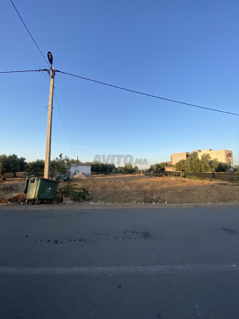 Terrain et petite maison à vendre 1200 m Ain Chkef