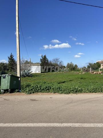 Land 1200 sqm for sale in Fez — Photo 3