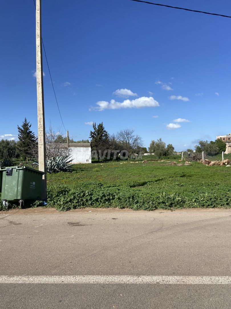 Land 1200 sqm for sale in Fez — Photo 4
