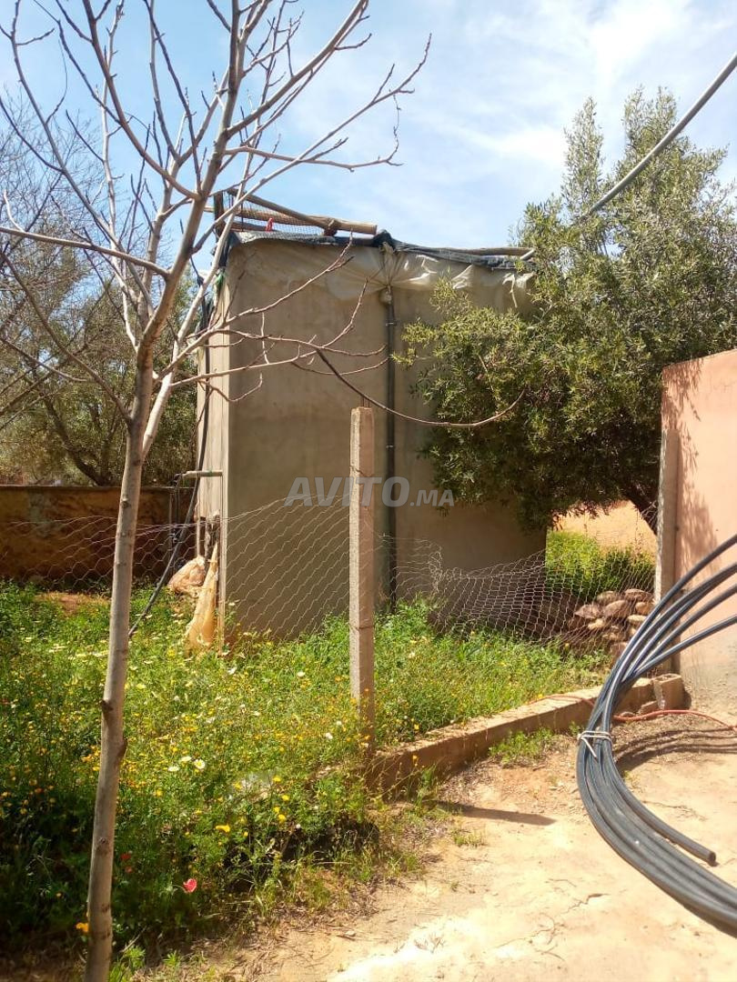Villa 10001 m² à vendre à Marrakech — Photo 16