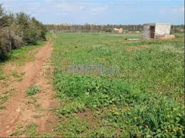 Terrain à partir de 5 000 m² à vendre à Bir Jdid — Photo 3