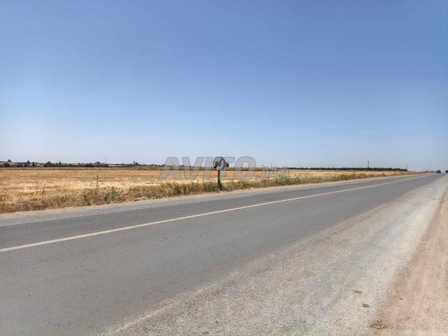 أرض 7650 م² للبيع في الڭرة — Photo 3