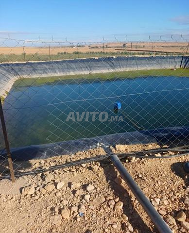 أرض للبيع 4 هكتار في الرباط — Photo 2