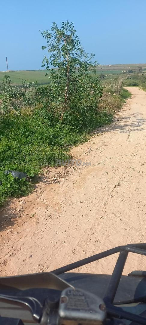 Land for sale 800 land registry title
