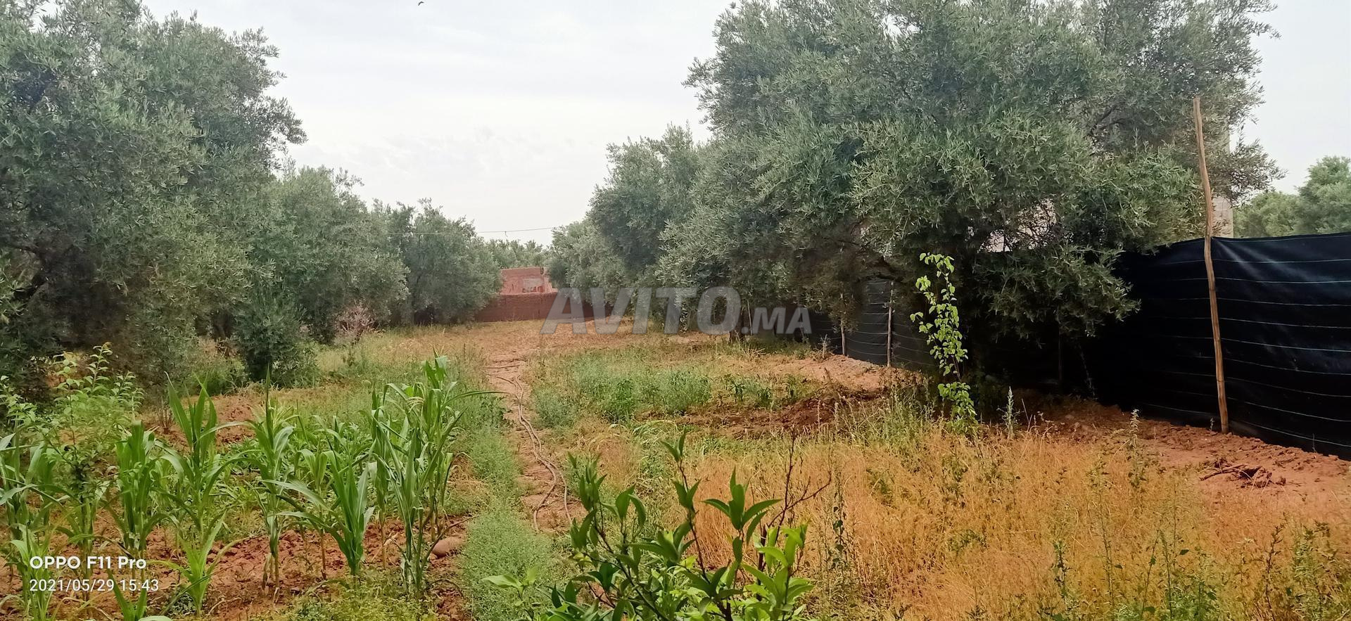 Land for sale 200m²