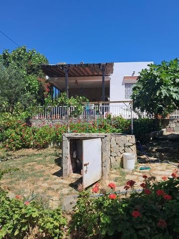 Maison et terres agricoles à vendre