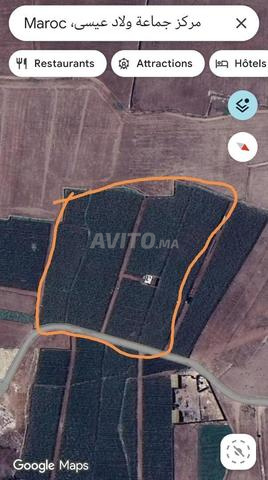 Vends terrain agricole ou pour une ferme