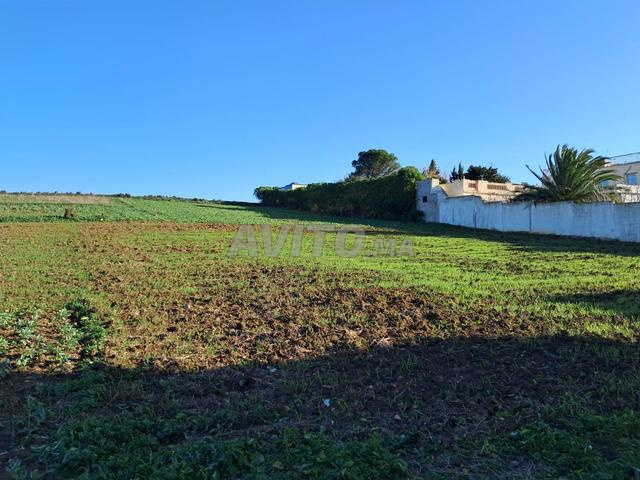 Propriété à vendre enregistrée de 7728m2