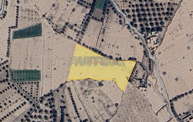 11146 m² Plot for Sale in Tamazouzt, Marrakech — Photo 2