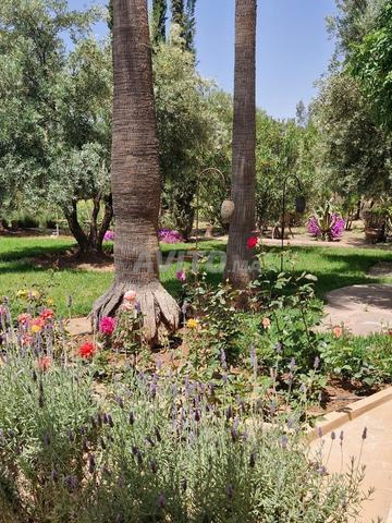 فيلا 14900 متر مربع للبيع في مراكش — Photo 2