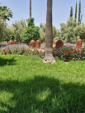 فيلا 14900 متر مربع للبيع في مراكش — Photo 9