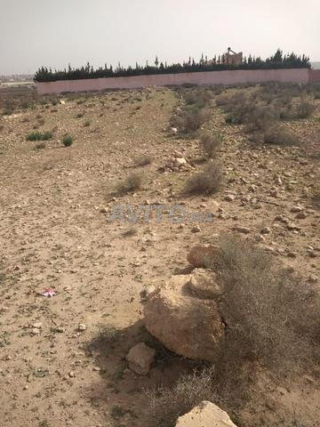 أرض 627 م² للبيع في أكادير — Photo 3