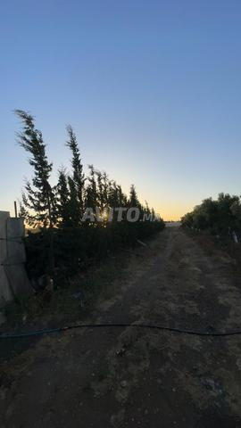 أرض 3300 م² للبيع في الدار البيضاء — Photo 6