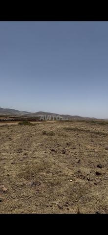 أرض للبيع في مراكش — Photo 2