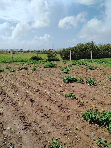 Land for sale in Sale El Jadida