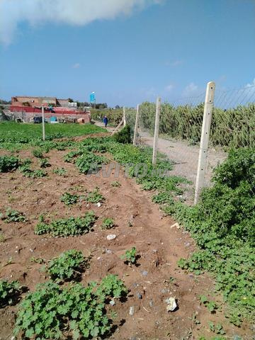 Land 360 m² for sale in Rabat — Photo 2