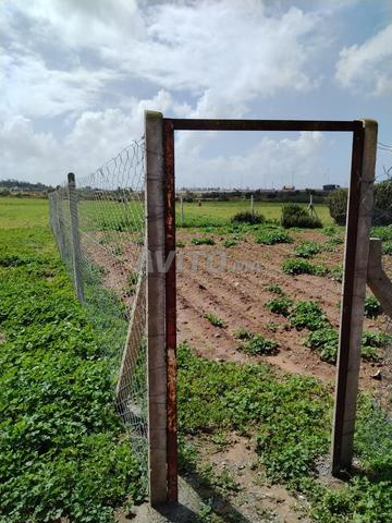Land 360 m² for sale in Rabat — Photo 3