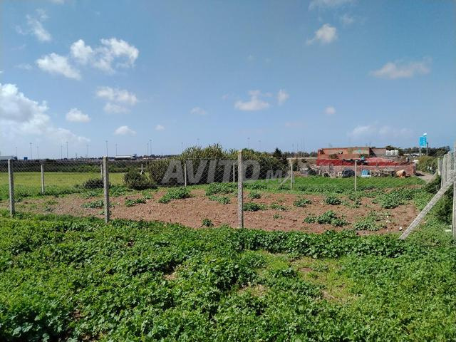 Land 360 m² for sale in Rabat — Photo 5
