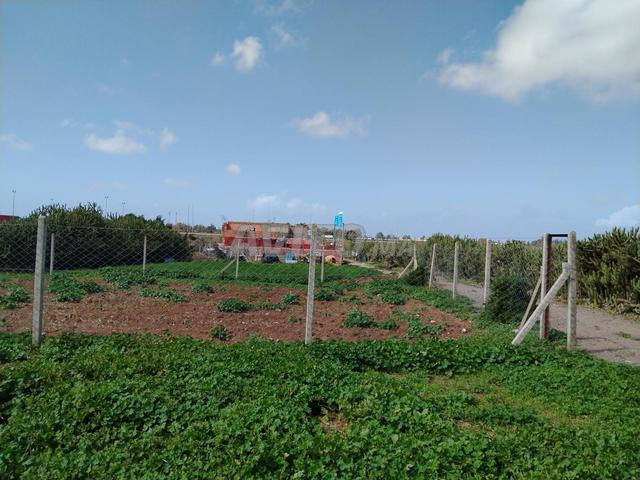 Land 360 m² for sale in Rabat — Photo 6