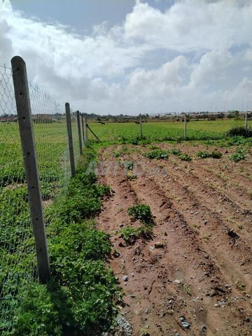 Land 360 m² for sale in Rabat — Photo 7