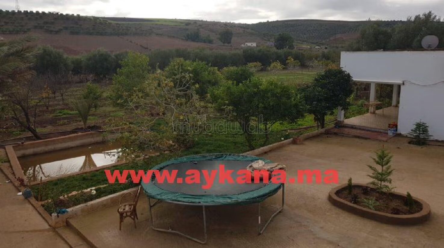 Ferme 2 Ha à vendre à Tiflet — Photo 8